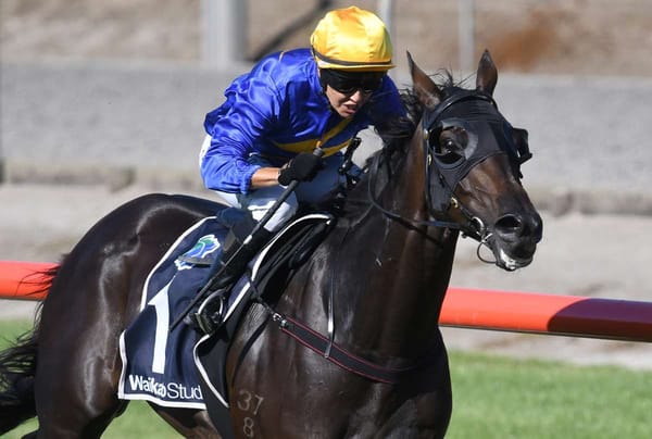 McKay stablemates facing off in Cup