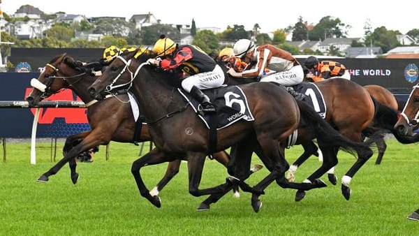 Provence a dual Group One winner after Breeders’ Stakes upset
