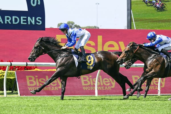 King ready to reign in Derby