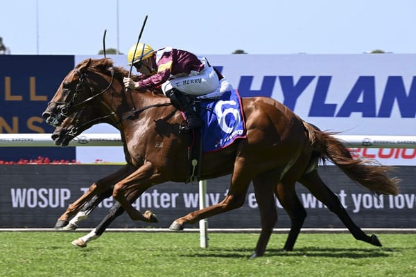 Guineas a fork in the road for Linebacker