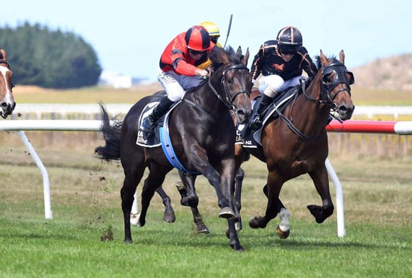 Well-Bred Colt Primed for Sires’ Produce Challenge