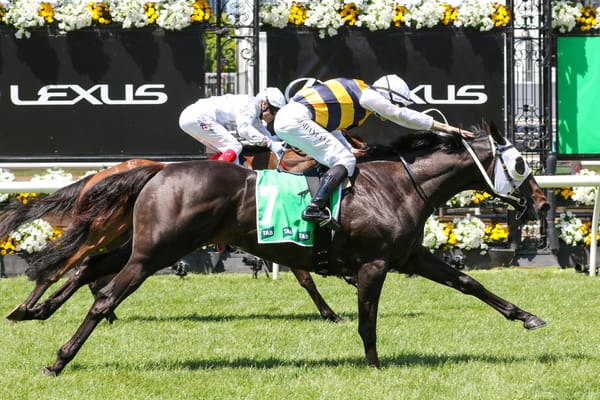 Warmonger ready for talent-laden Tancred