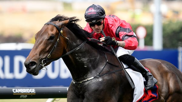 VIDEO: Willydoit feature ahead of the NZ Derby