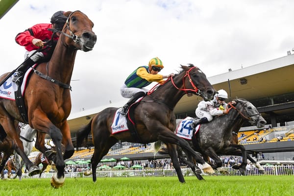 Ceolwulf prevails in Neville Sellwood