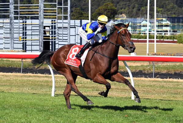 Wexford Eyeing Sydney Spoils with Group One Star