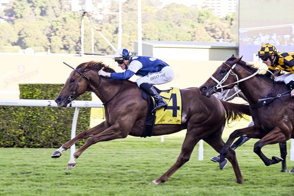 Jimmy Set to Chase Ka Ying Rising