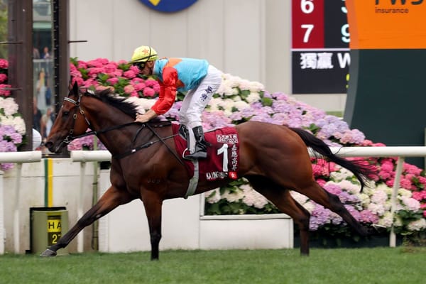 Ka ying Rising seals perfect season