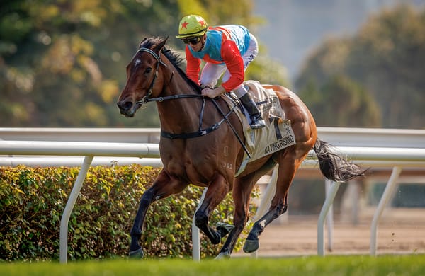 Strong Kiwi Presence Set for FWD Champions Day