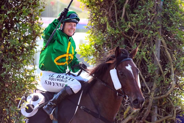 Kellanzor primed for spotlight run under Wynne