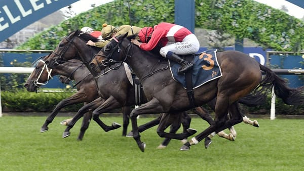 Marsh hits milestone in thrilling Championship Stakes finish