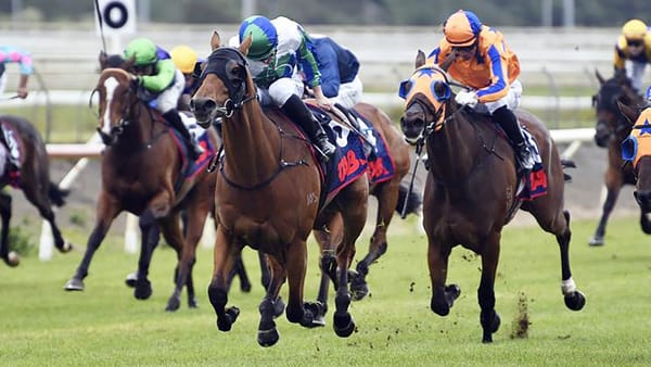 Queensland calling Nereus after Cup performance