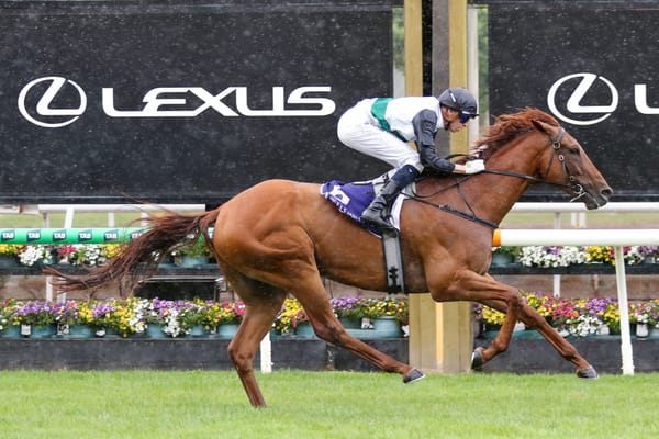 Hayes team in anxious Doncaster Mile wait