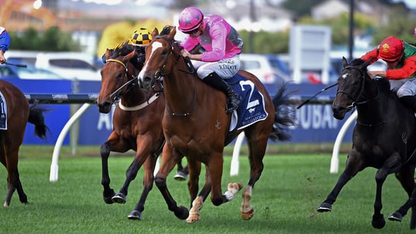 Second time lucky for improving Wyndstorm
