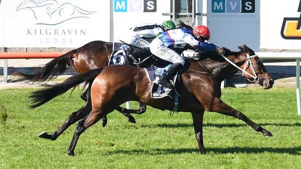 Go Racing strike again with proven pedigree