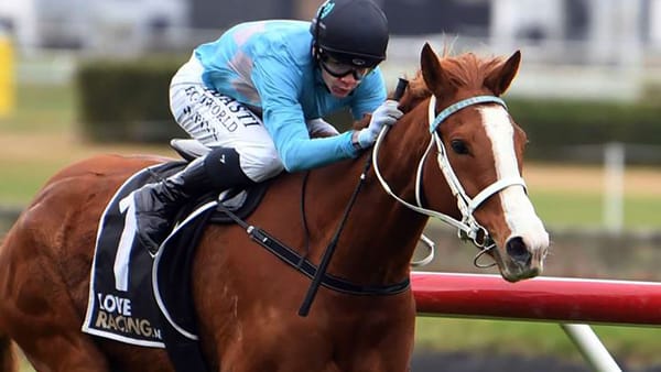 Winter stakes targets for perennial placegetter
