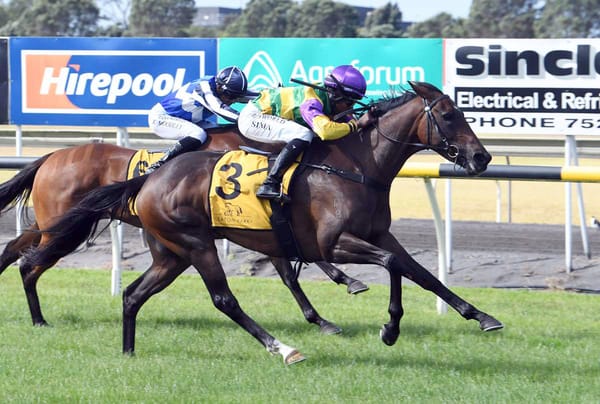 Stakes winner set to bounce back in Cup