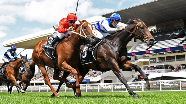 Tomodachi leading Wexford charge in mares’ feature