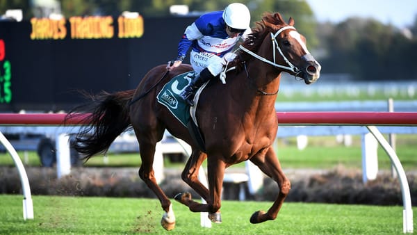 Brisbane on the radar for resurgent Velocious