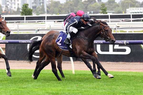 Bold Soul ready for 4YO breakthrough