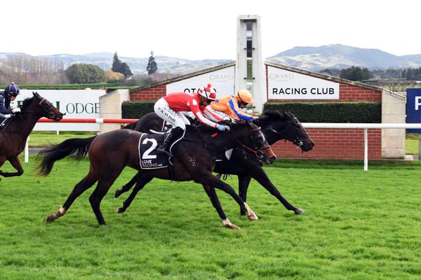 Ferrando colt leaves lasting impression