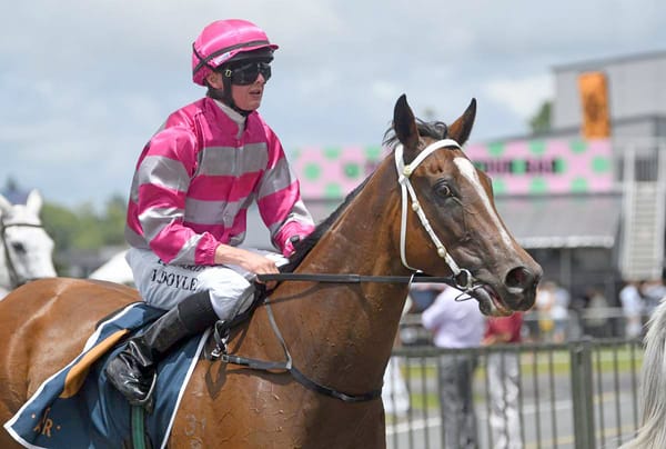 Imprevu seeking to plunder Northland riches