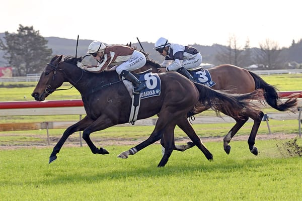 Northern mission pays off with Levakia