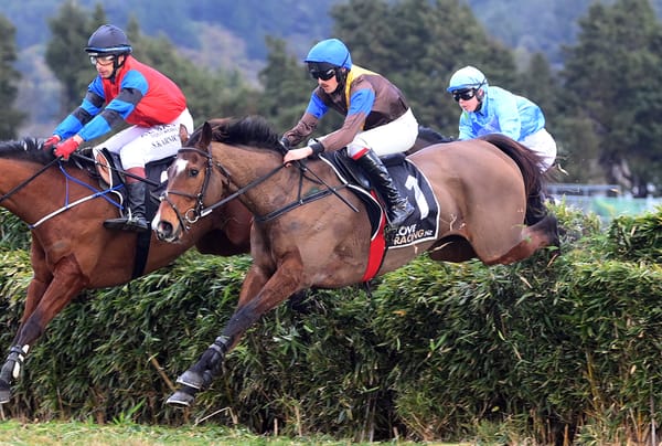 Nelson-McDougal stars facing off in Waikato features