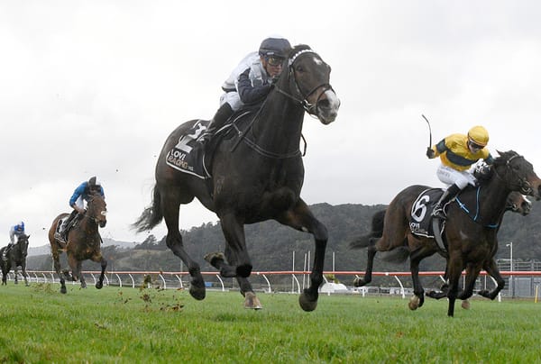 Well-placed pair kicking off busy week for Bergerson